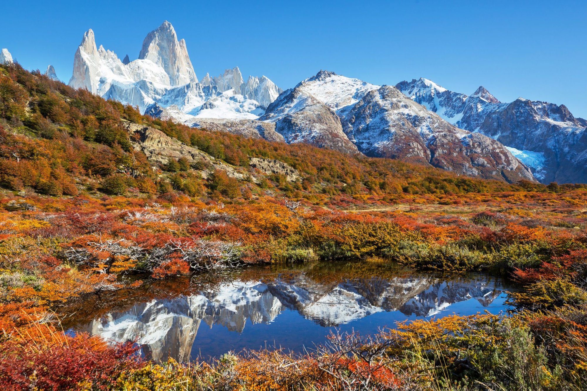 Vista Fitz Roy (3)