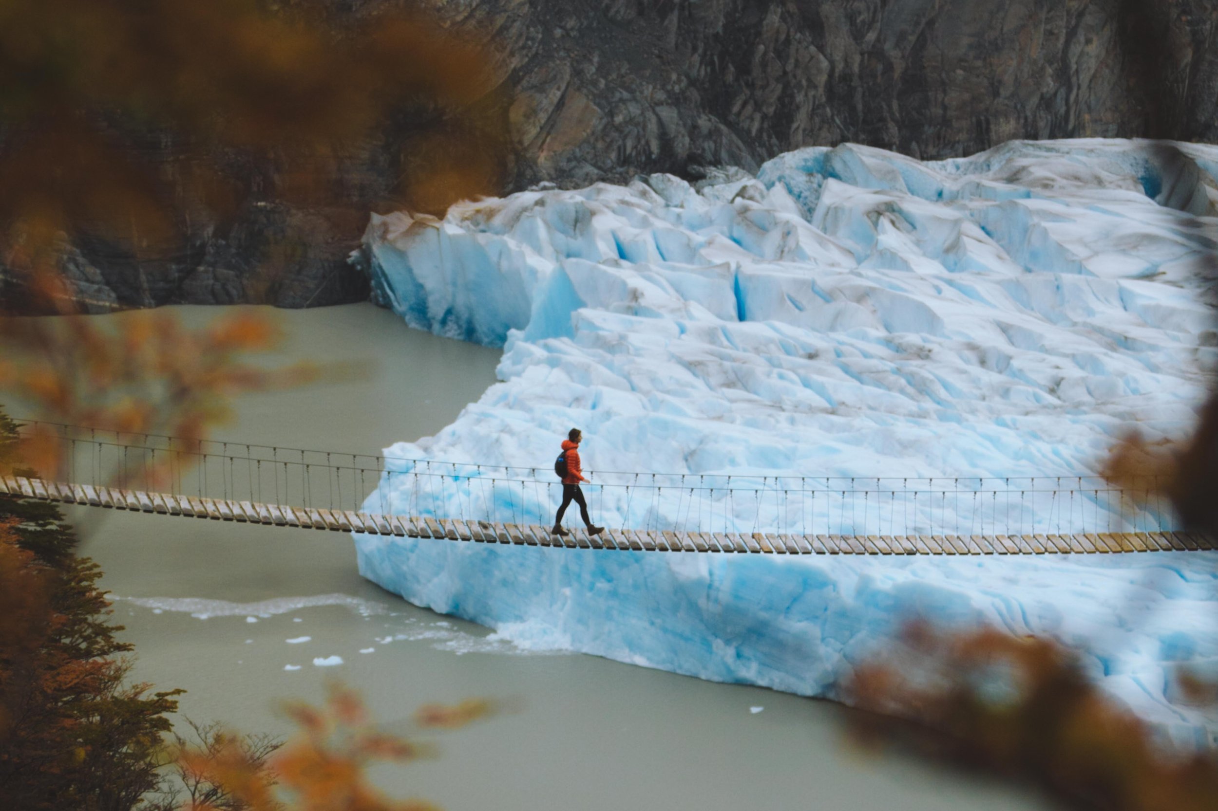 Puente Colgante Glaciar Grey